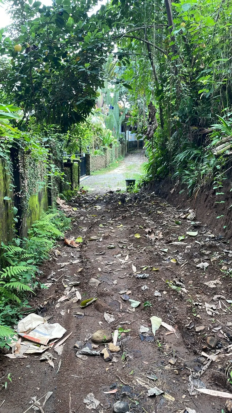 Ubud Central Land For Sale Freehold & Leased Hold