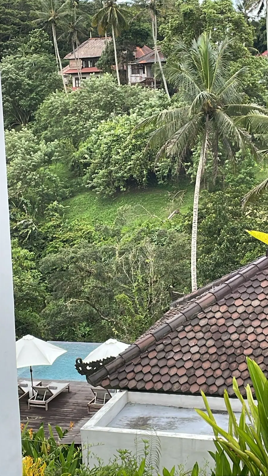Ubud Central Land For Sale Freehold & Leased Hold