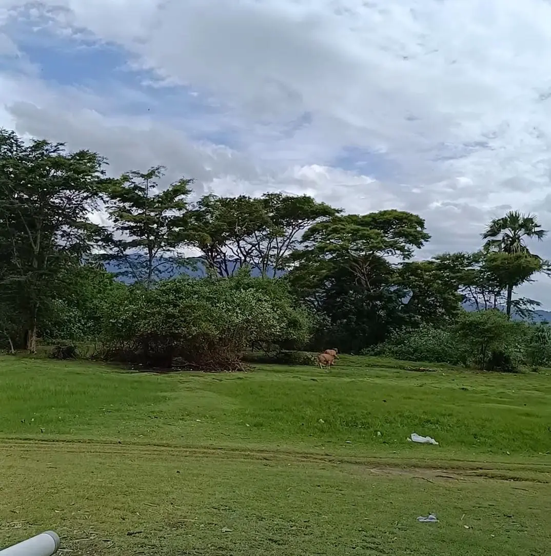 Premium Beach Front Pemuteran North Bali