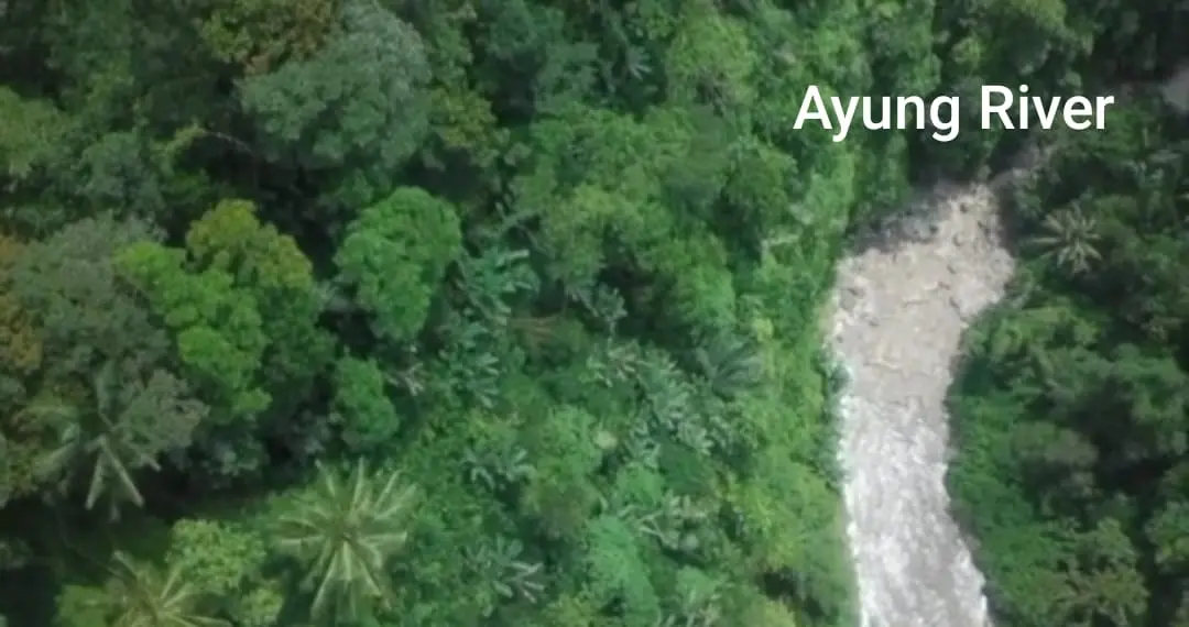 Ayung River Side Close To Como Shambhala Payangan Ubud