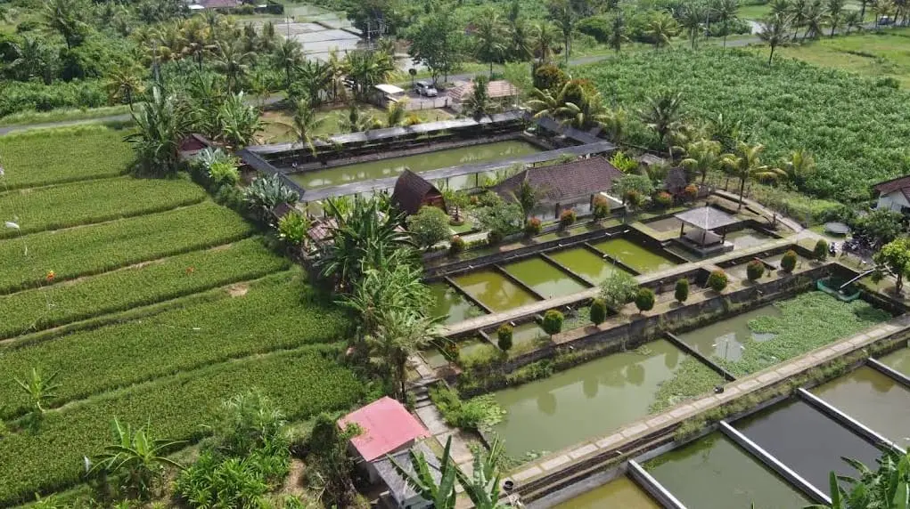 River Side Land Kemenuh Sukawati Gianyar