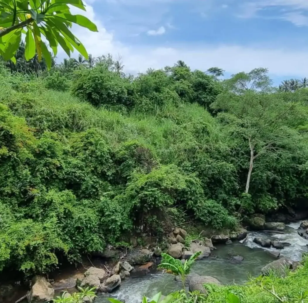 Premium Riverside Land Lodtunduh Gianyar Bali