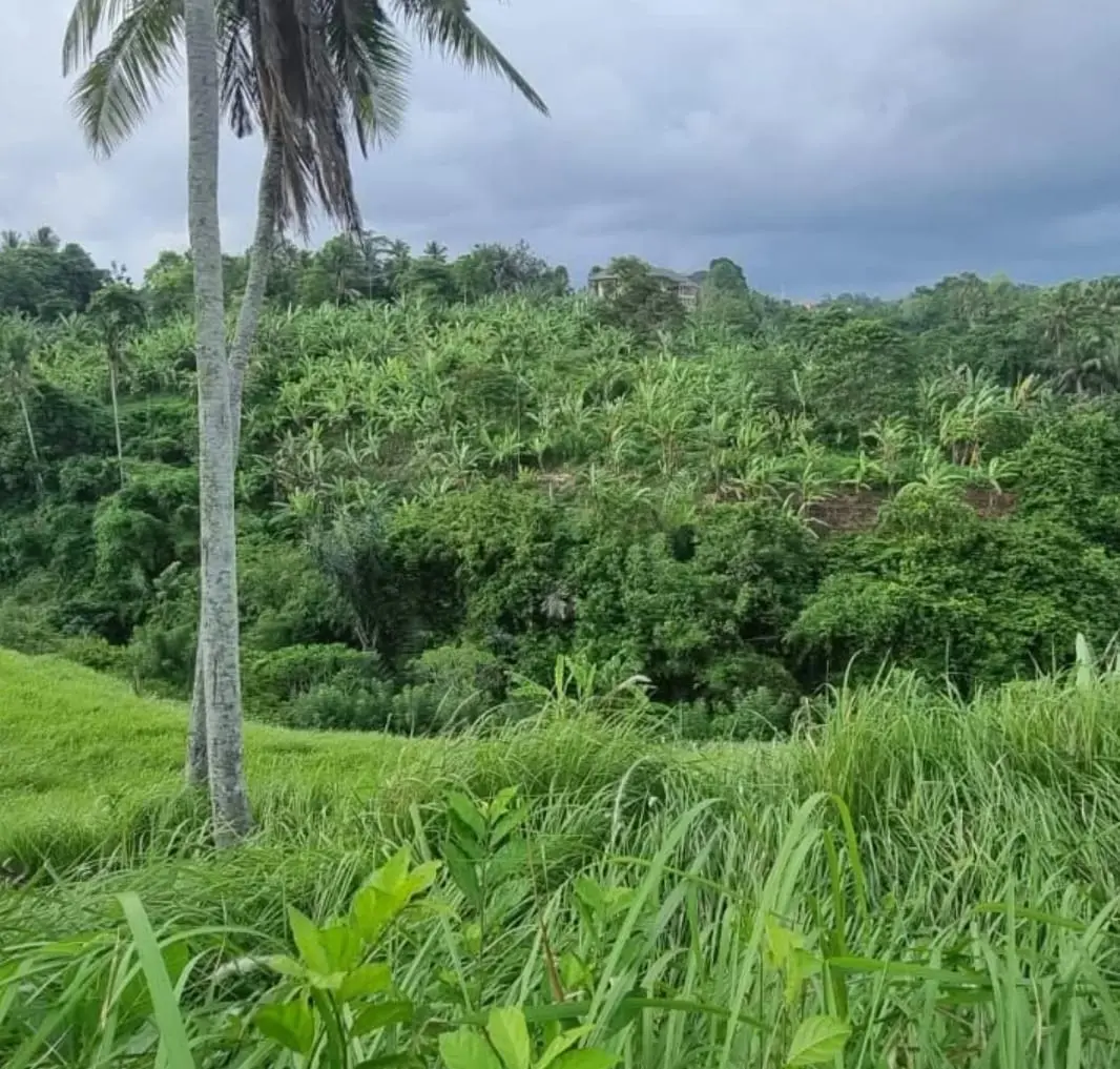 Premium Riverside Land Lodtunduh Gianyar Bali