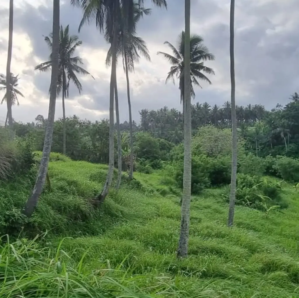Premium Riverside Land Lodtunduh Gianyar Bali