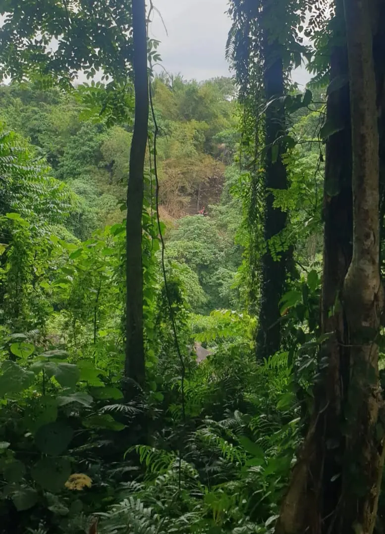 River Side Lodtunduh Gianyar Bali