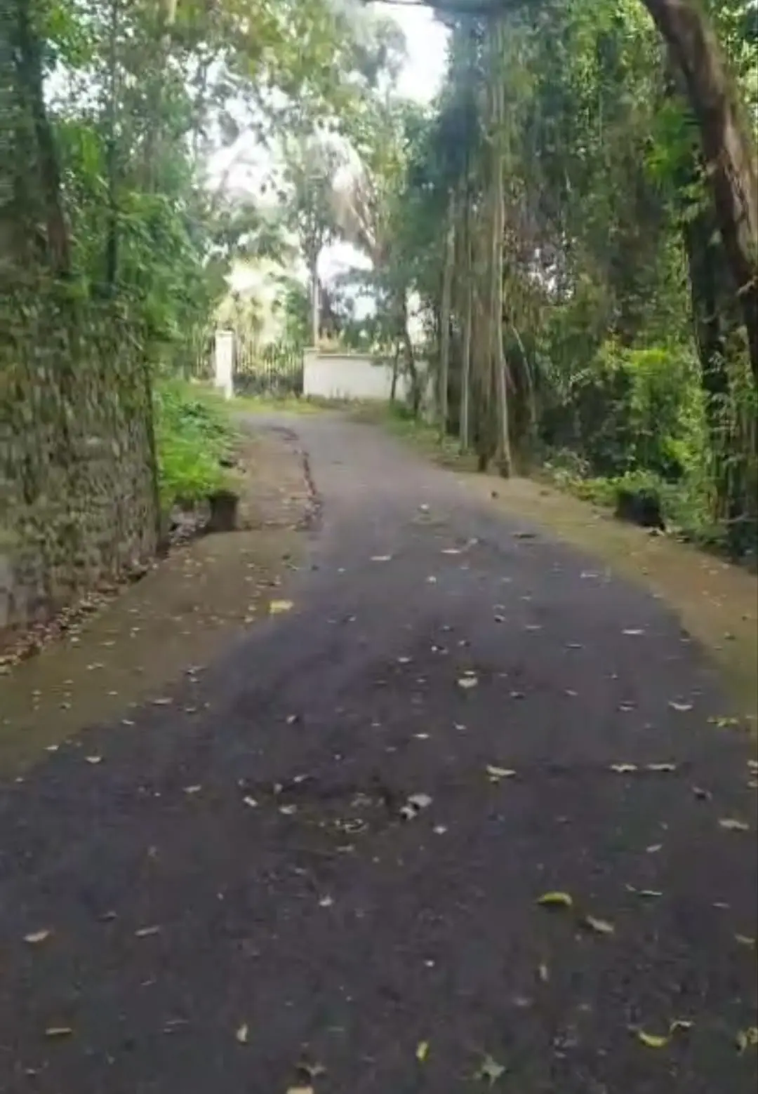 River Side Lodtunduh Gianyar Bali