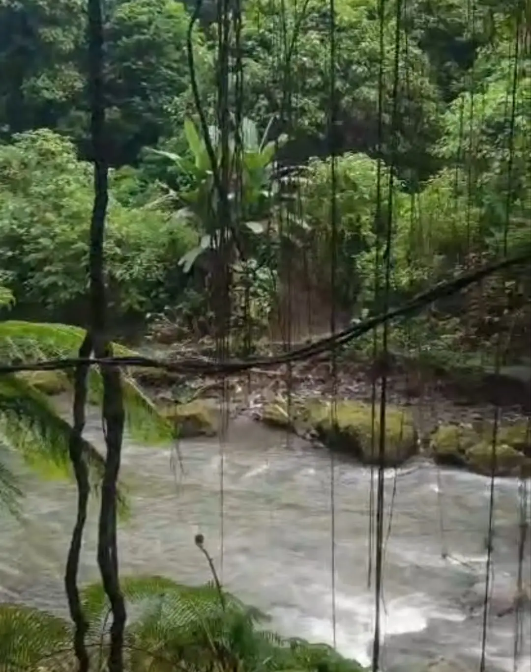 River Side Lodtunduh Gianyar Bali