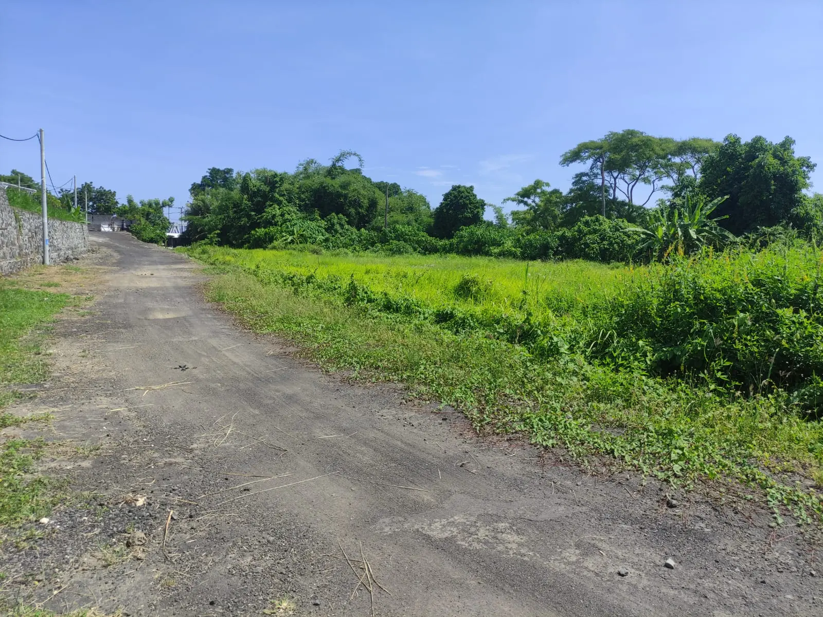 Ketewel Gianyar Land For Retirement Retreat Project