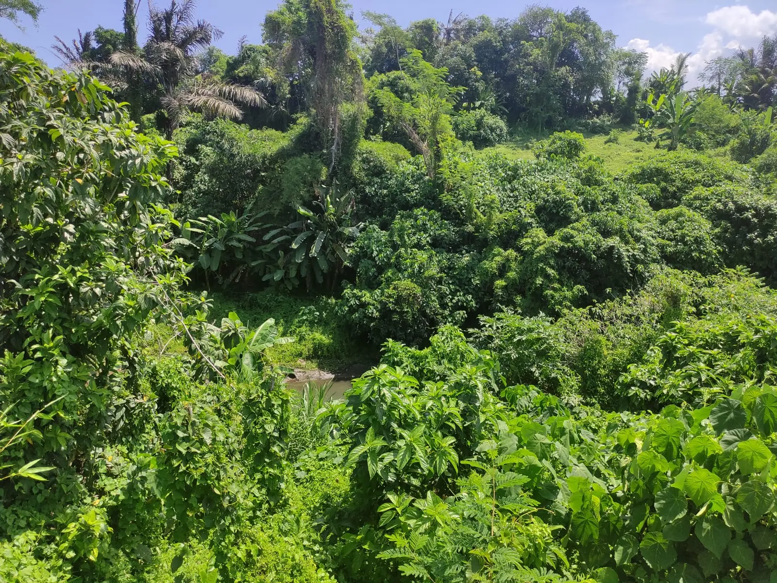 Ketewel Gianyar Land For Retirement Retreat Project