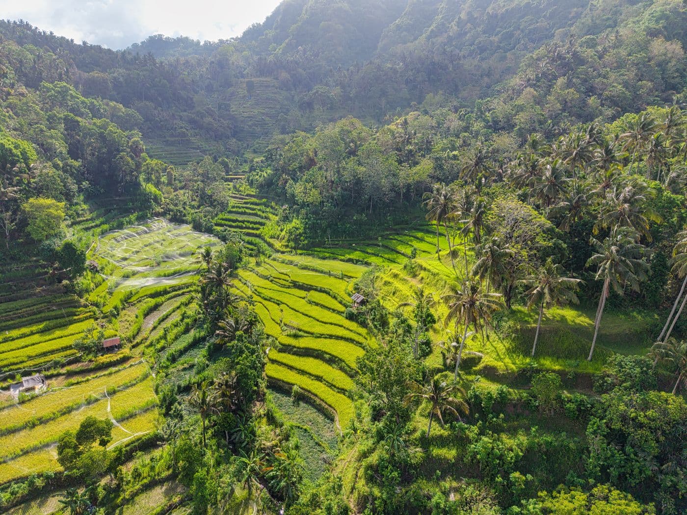 Ubud & Gianyar